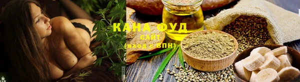 стаф Касимов