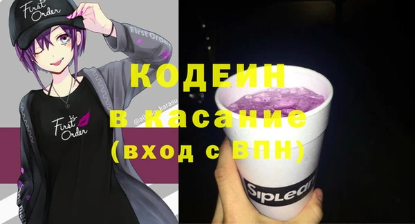 стаф Касимов