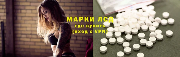 стаф Касимов