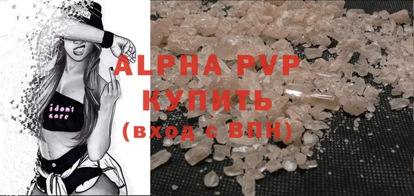 стаф Касимов