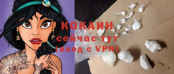 стаф Касимов