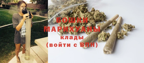 сатива Каменногорск