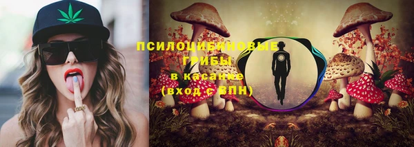 стаф Касимов