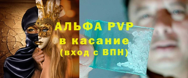 сатива Каменногорск