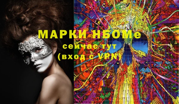 стаф Касимов