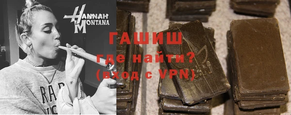 стаф Касимов
